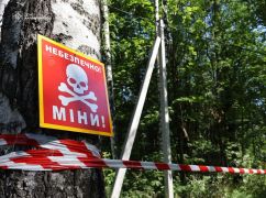 На Харківщині піротехніки знайшли міну часів Другої світової війни, розміновуючи лінії електропередач