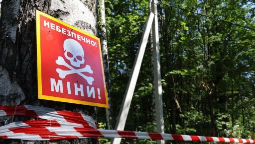 На Харківщині піротехніки знайшли міну часів Другої світової війни, розміновуючи лінії електропередач