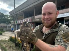 В Харьковской области вблизи полицейский спас подбитую птицу