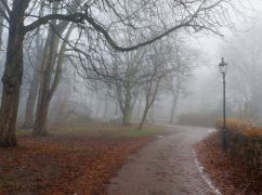 Синоптики рассказали, какой погоды ждать на Харьковщине 28 ноября