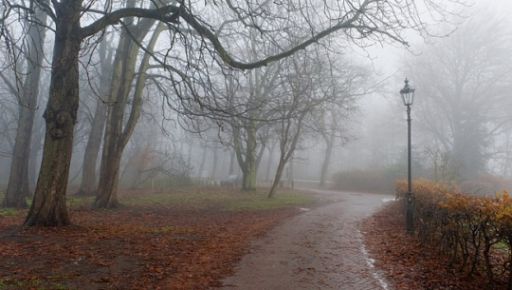 Синоптики розповіли, якої погоди чекати на Харківщині 28 листопада