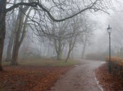 Якої погоди чекати в Харкові та області 11 грудня