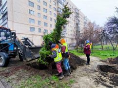 Терехов рассказал о будущей судьбе выгоревшего участка возле "Каравана"