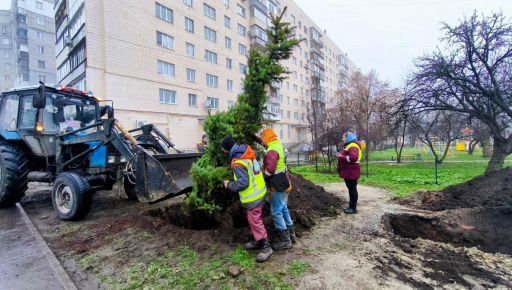 Терехов рассказал о будущей судьбе выгоревшего участка возле "Каравана"