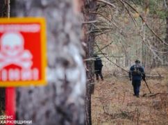 Глава лесагентства прогнозирует, что на разминирование лесов Харьковской области уйдут сотни лет