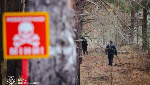 Глава лесагентства прогнозирует, что на разминирование лесов Харьковской области уйдут сотни лет