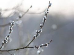 На Харківщину повертаються заморозки