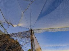 Антидронові сітки можуть з&rsquo;явитися в різних районах Харкова &ndash; Синєгубов