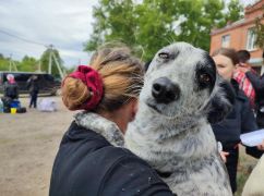 У Харкові станом на 1 липня зареєстровано майже 217,5 тис. внутрішніх переселенців &ndash; мерія