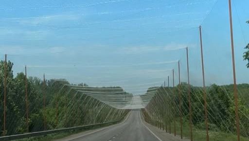 На Харьковском шоссе началось строительство антидронового коридора