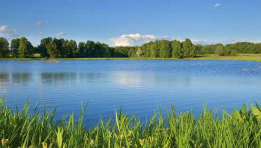 На Харківщині рибгосподарство привласнило водосховище: Прокуратура в суді вимагає звільнити об'єкт