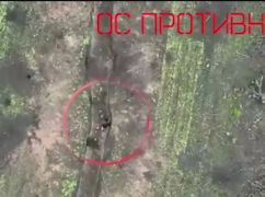 Харьковские бойцы показали, как противник "теряет голову" от их работы: Видео с фронта