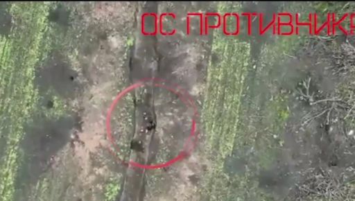 Харьковские бойцы показали, как противник "теряет голову" от их работы: Видео с фронта