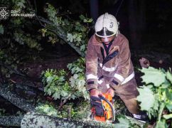 Сорвало крышу дома, повредило поезд: спасатели показали последствия урагана на Харьковщине
