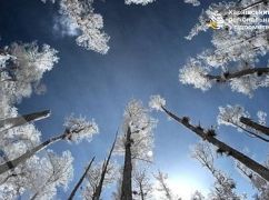 На Харківщині водіїв попередили про проблеми на дорогах