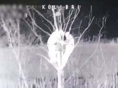 Хотіли сховатися на дереві: на Харківщині прикордонники вдарили FPV-дроном по росіянам