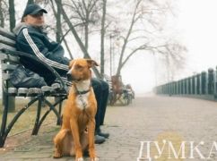 Стало відомо, якої погоди чекати на Харківщині 25 листопада: можливий туман