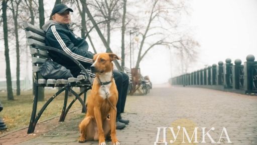 Стало известно, какой погоды ждать на Харьковщине 25 ноября: возможен туман