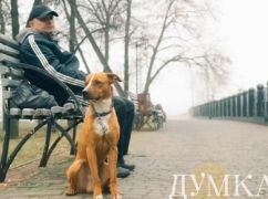 Синоптики предупредили о плохой видимости на Харьковщине 4 декабря