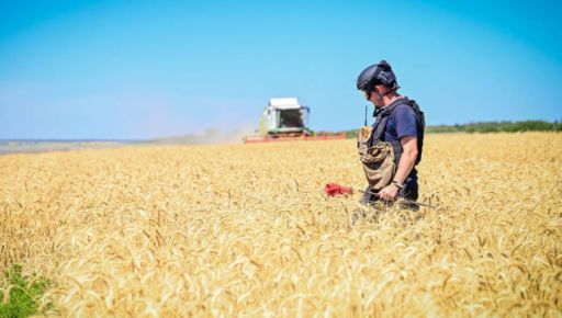 Хлеб ценой жизни: В Харьковской области аграрии выращивают пшеницу под прилетами УАБ