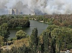 На Салтівці горить сосновий бір – соцмережі