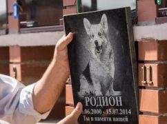 Стало відомо, як під час війни виглядає кладовище кремованих тварин у Харкові