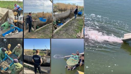 Большое зарыбление на Харьковщине: Водоем возле ТЭС получил 42 тонны мальков