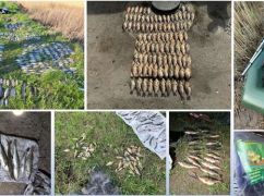 В Харьковской области за апрель браконьеры наловили рыбы более чем на 1,59 млн грн