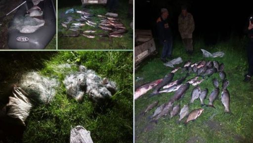 На Харківщині браконьєри виловили 127 кг риби: справу передали поліції