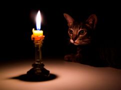 Енергетики повідомили, як вимикатимуть світло на Харківщині 17 листопада