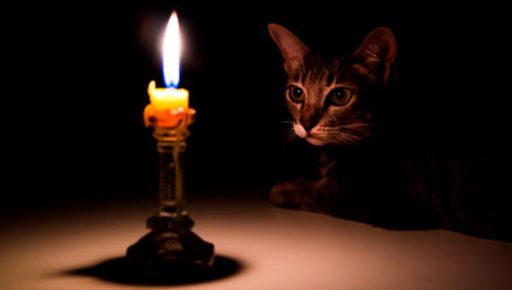 Энергетики сообщили, как будут выключать свет в Харьковской области 17 ноября