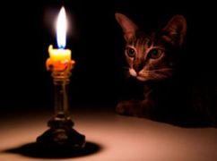 Энергетики сообщили, как будут выключать свет в Харьковской области 24 ноября