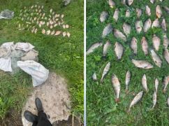 На Харьковщине задержали браконьера с уловом на более 158 тыс. грн