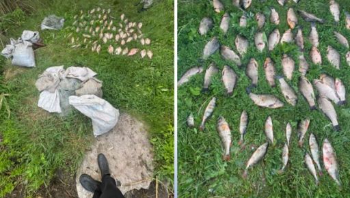 На Харьковщине задержали браконьера с уловом на более 158 тыс. грн