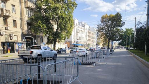 Харків інвестує в нові дерева для міста 3,8 млн грн - ХАЦ