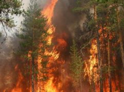 Пожежна ситуація на Харківщині: у "червоній" зоні шість населених пунктів