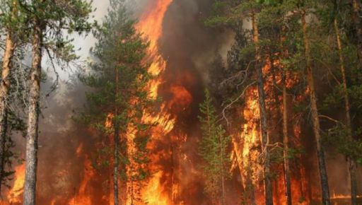 Пожежна ситуація на Харківщині: у "червоній" зоні шість населених пунктів