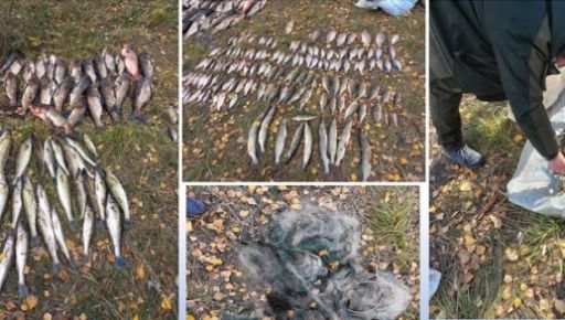 Браконьєри на Африканівському водосховищі Харківщини наловили риби на 0,6 млн грн