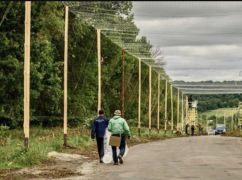 Терехов ответил, будут ли натягивать антидроновые сетки над дорогами в Харькове