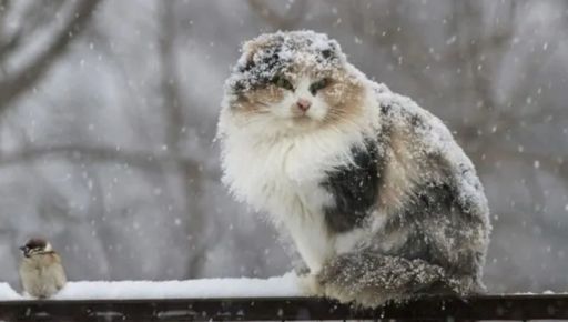 Якою буде п'ятниця на Харківщині: прогноз погоди на 19 грудня