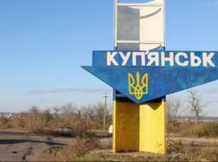 На Харківщині шукають родину для двох котів із Куп&rsquo;янська, у яких померла господарка