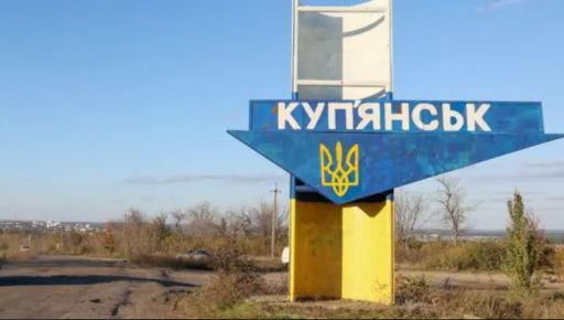 На Харківщині шукають родину для двох котів із Куп&rsquo;янська, у яких померла господарка