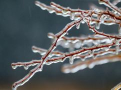 Синоптики предупреждают о сильном гололеде в Харькове: детали