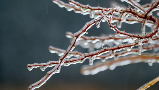 Синоптики предупреждают о сильном гололеде в Харькове: детали