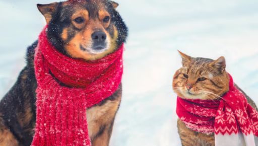 Как изменится погода в Харькове и области 24 февраля: прогноз синоптиков