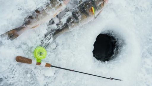 Стало відомо, яких збитків завдали браконьєри на Харківщині за лютий