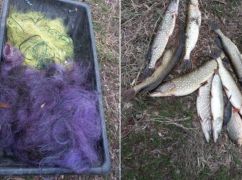 В Харківській області чоловік незаконно виловив щуку на 32 тис. грн