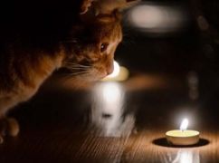 В Харьковской области действуют почасовые отключения света: график на 19 марта