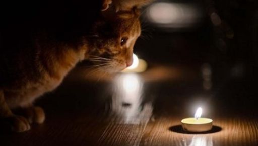 В Харьковской области действуют почасовые отключения света: график на 19 марта