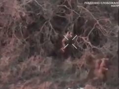 В Харьковской области пограничники сорвали попытку вражеского штурма: кадры с фронта